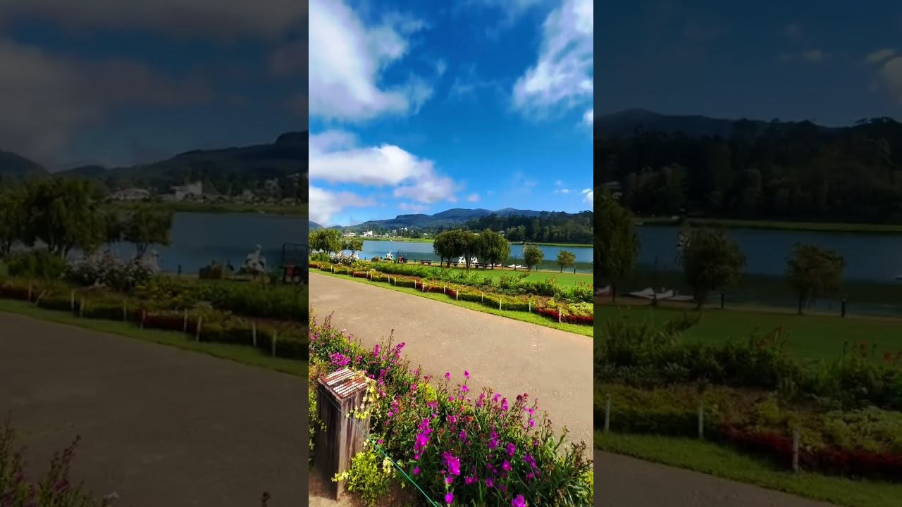 YouTube Short thumbnail