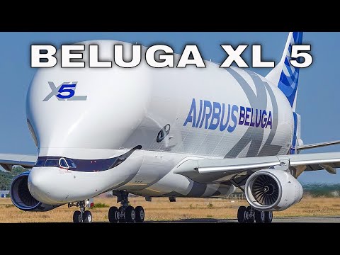 Novo AIRBUS BELUGA XL | Beluga XL5 | Primeiro voo no aeroporto de Toulouse Blagnac