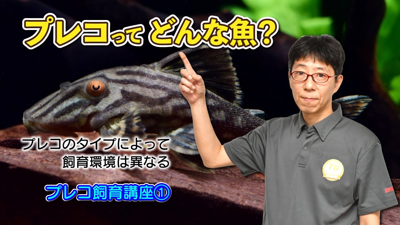 サムネイル4