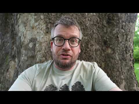 At Least There Are Trees