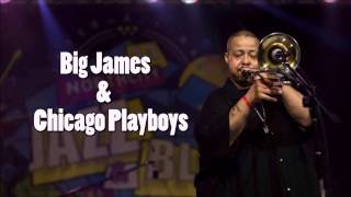 Big James and the Chicago Playboys - Thank God I Got The Blues