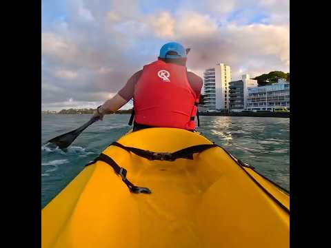 Ambulance! #kayak #kayaking #ambulance #auckland