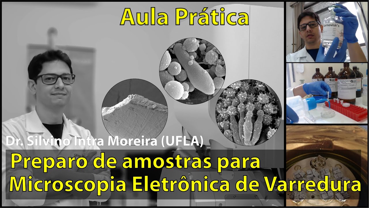 Aula Prática: Preparo de amostras para Microscopia Eletrônica de Varredura – MEV