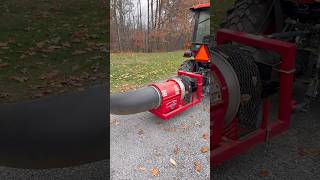 Wind Maker! Buffalo Turbine, Leaves don’t stand a Chance