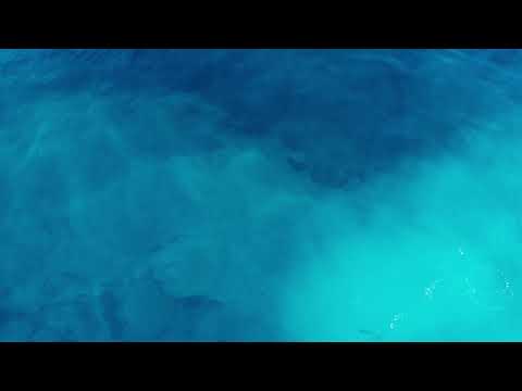 Dj King Tara - Stoko (feat Boibizza)