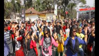 ICC World Twenty20 Bangladesh 2014 Flash Mob - Agricultural University Sylhet