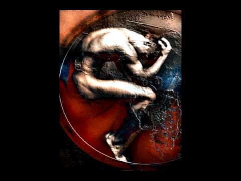 Embryonic