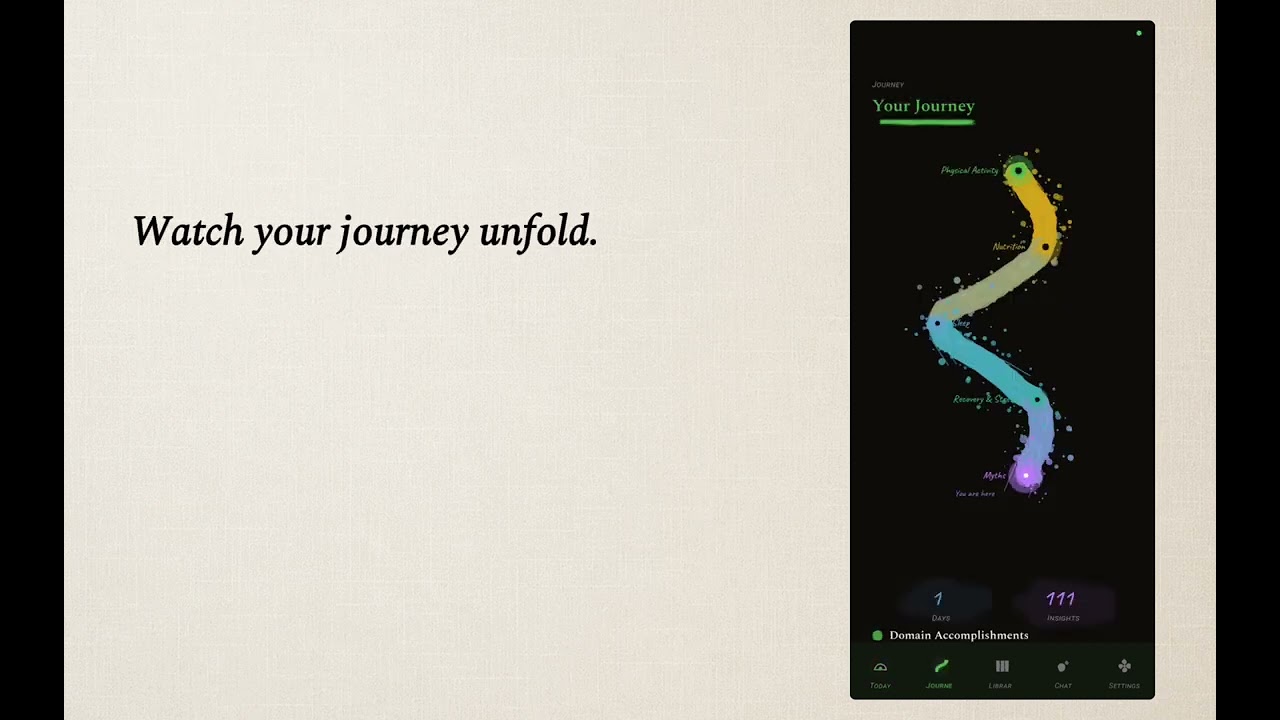 DSF project preview