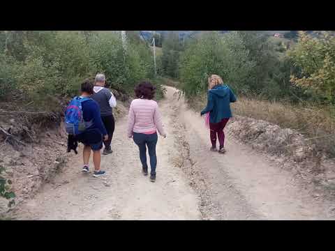 De la Vasi (magazinul de pe creastă) către Holbav la vale, pe jos - SEPT. 2021