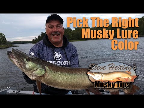 Choosing Musky Lure Color