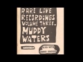 Muddy Waters / Trouble No More 