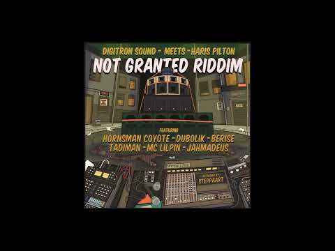 DIGITRON feat DUBOLIK   DUBOLIK  DUB