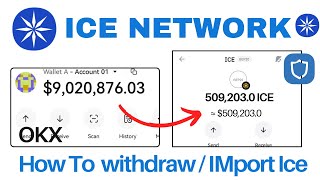 How to Withdraw / Import Your Ice COIN in OKX Wallet, Trustwallet And Metamask