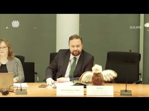 Video Thumbnail: Zweites Fachgespräch zu Sharenting und Kinderinfluencern
