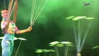 Video : China : Chinese acrobatics sample - video
