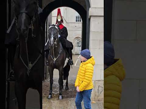 Brave Young Girl Touch The King's Horse