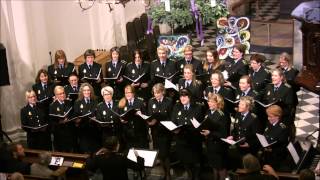 Fuld af nattens stjerner med Politisirenerne