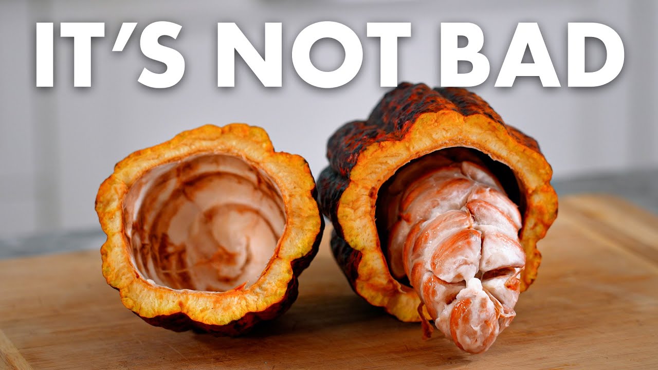 COCOA POD - Raw Cacao Bean Taste Test