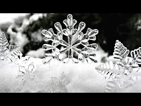 Masaru Emoto Water Experiment. Music for Stress Relief •40