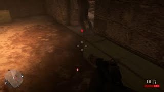 Battlefield™ 1_bugs