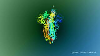 SARS-CoV-2 Spike Protein Ribbon