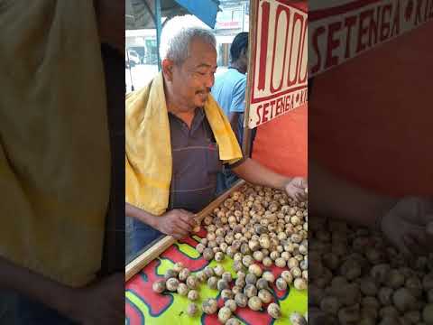 Pakan jaran pakan jaran