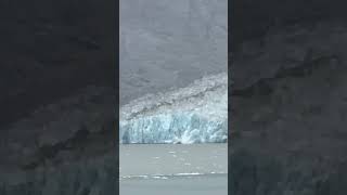 #dawesglacier #glacier #travel #celebritycruises #alaskacruisevlog #cruiseline #royalcaribbean
