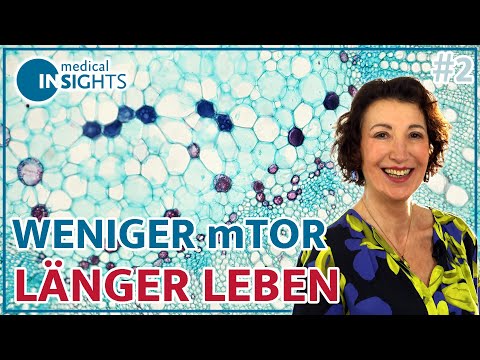 What is mTOR? And: Why less is more | #2 Project Fountain of Youth