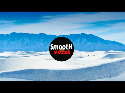 Sammy Boyle & WildVibes - Out of Time (feat. Sarah de Warren)