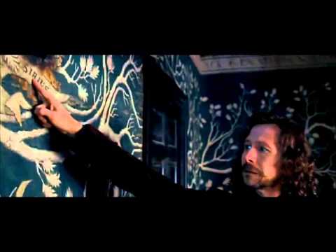 Harry Potter e l'ordine della fenice "Tu non sei una persona cattiva"