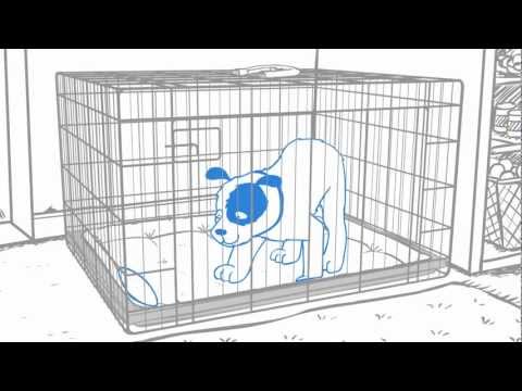 ADAPTIL Calm Home Diffuser for Dogs (30 Day Starter Kit) 48 ml Video