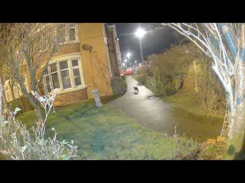 Arlo Pro 5 vs Pro 4 vs EufyCam 3C Review – Arlo Pro 5 night time sample footage 1