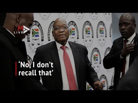 Days of capture Scratchy throats and 'I don't knows' Zuma's moments not to be missed
