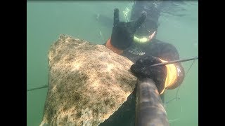 Документы на вылов рыбы в азовском море 2020
