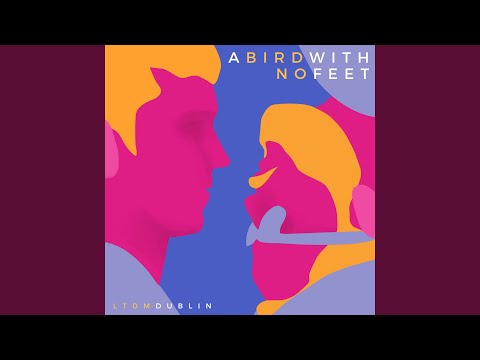 A Bird With No Feet (part. Dan Elliott E Carlinhos Cruz) - Lucas Mayer