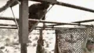 Killarmy- The Shoot Out