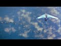 Final Scene From Fly Away Home 1996