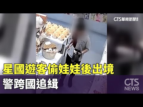 星國遊客偷「水豚君娃娃」後出境　警跨國追緝