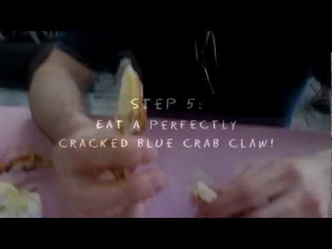 The Perfect Claw Crack: Step by Step