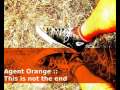 this is not the end - Agent Orange - Lyrics