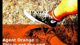 this is not the end - Agent Orange - Lyrics