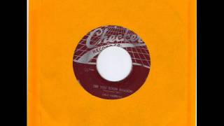 DALE HAWKINS -  CHECKER 843 -  SEE YOU SOON BABOON - FOUR LETTER WORD