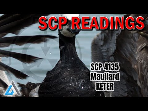 SCP 4135 - Maullard - KETER