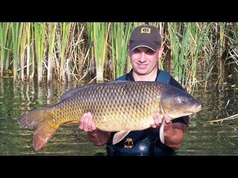SBS Tactical Baits - Big Fish Tactics Part 5 - The bringing-in method