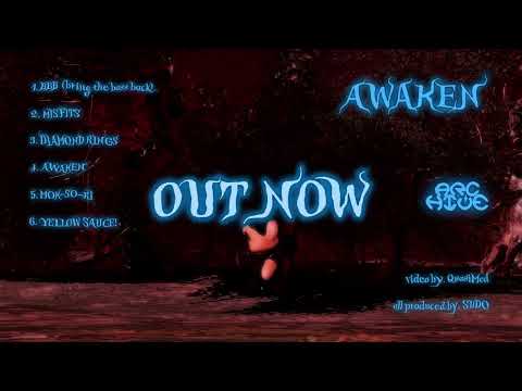 NOWIMYOUNG x SUDO - [AWAKEN] album preview