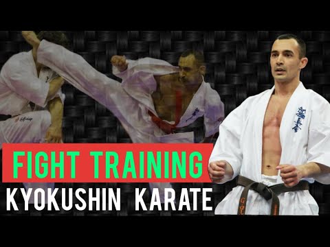 KYOKUSHIN KARATE FIGHT SEMINAR / Gabor Rozsa