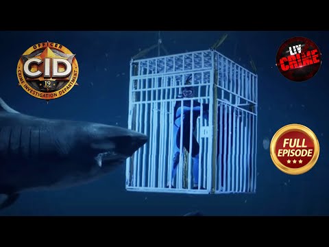 एक Shark के हमले से कैसे बचेंगे Daya और Purvi? | CID | Memories | सीआईडी | 10 May 2023
