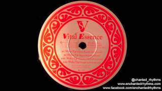 Maximum Style - Wake Up (Templeton Peck Dub Mix) // Vital Essence (1999)