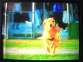 Opening To Snow Dogs 2002 VHS