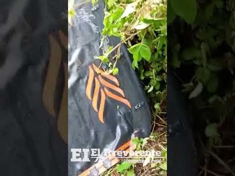 #ATENCIÓN Esta Pareja de ibaguereños se salvó de morir en la vereda #bilbao en #Planadas #tolima